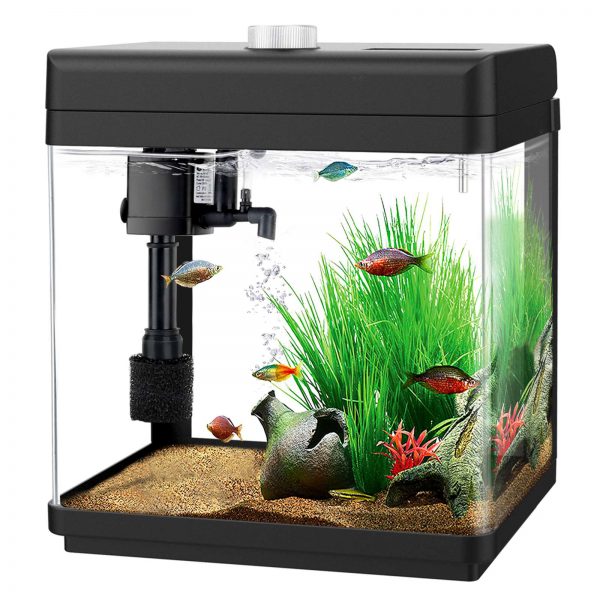 AQQA 2.5 Gallon Aquarium Kits Desktop Small Fish Tank with Filter